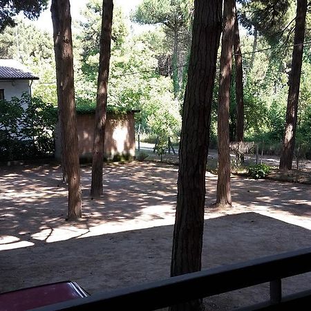 Hotel Riviera Marina di Ravenna Zewnętrze zdjęcie